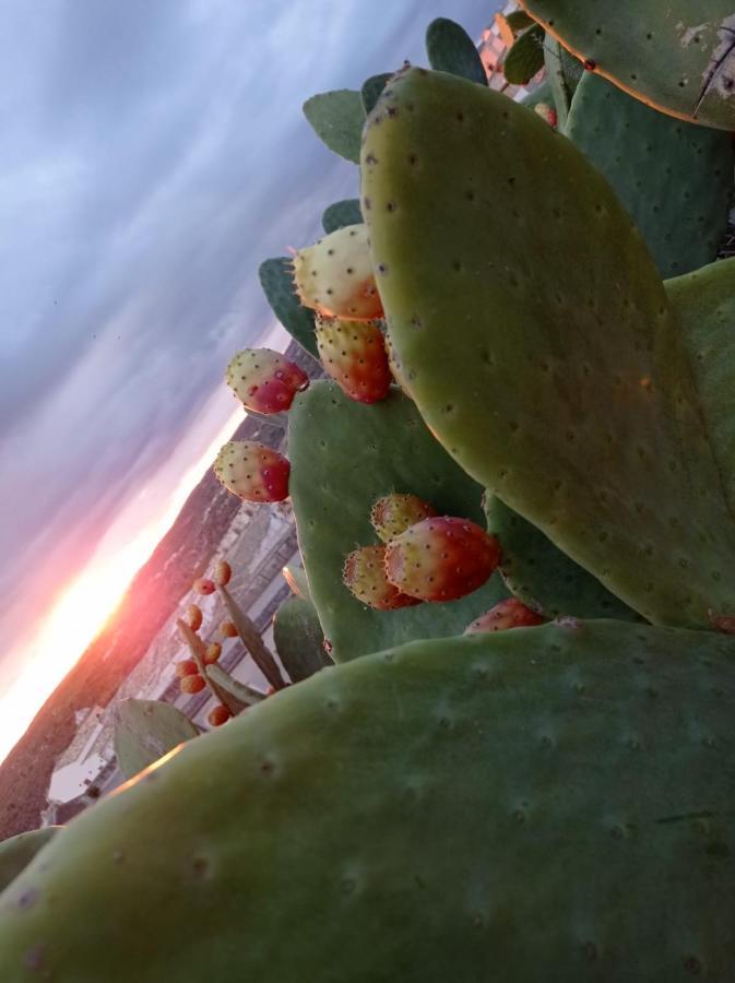 Trigona Garden Suite Noto Eksteriør bilde