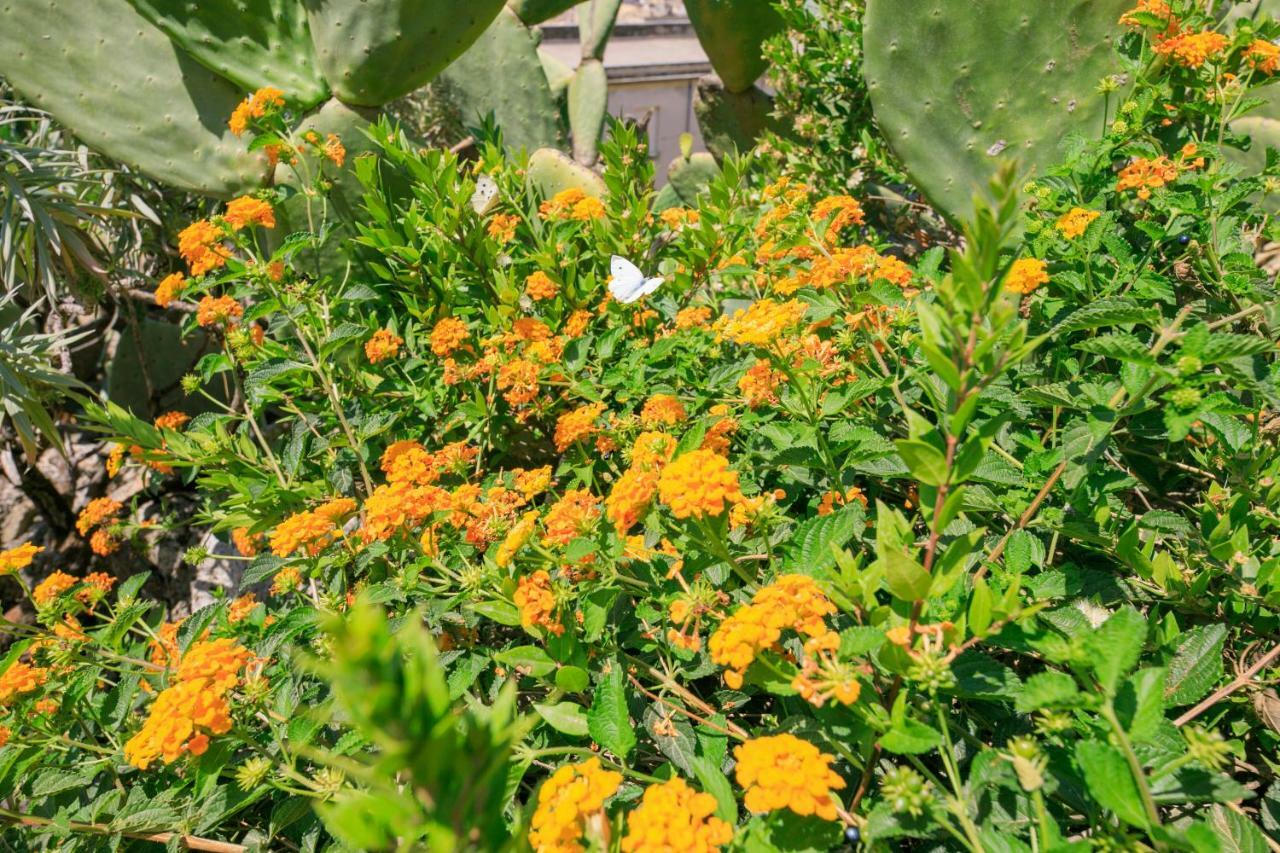 Trigona Garden Suite Noto Eksteriør bilde